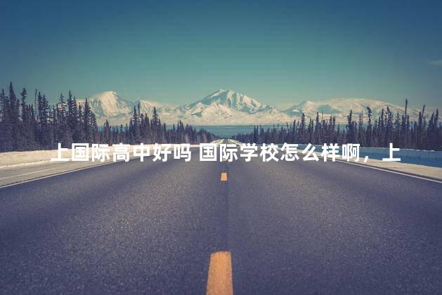 上国际高中好吗 国际学校怎么样啊，上国际高中好不好